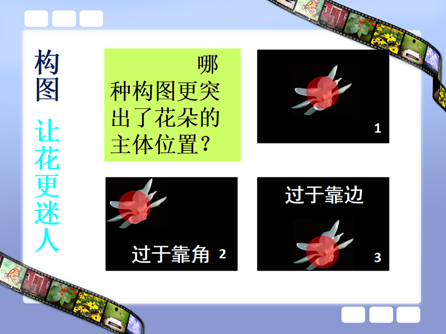 人美版（2024）美術(shù)六上第11課《鏡頭里的花》精品課件第5頁