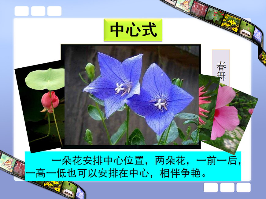 人美版（2024）美術(shù)六上第11課《鏡頭里的花》精品課件第7頁
