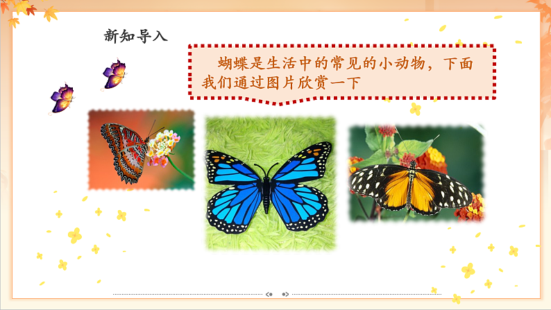 【新课标】人音版音乐二年级下册-《蝴蝶》课件第5页