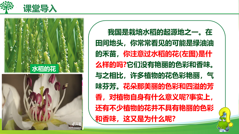 16578802第4页