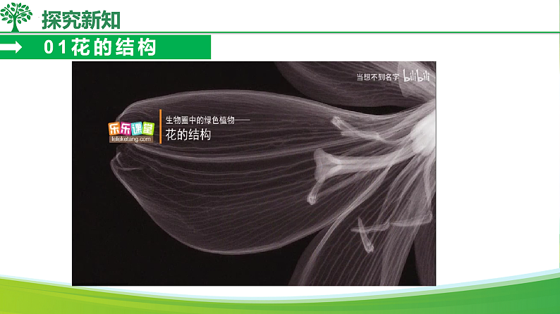 16578802第6页