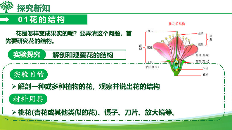 16578802第7页