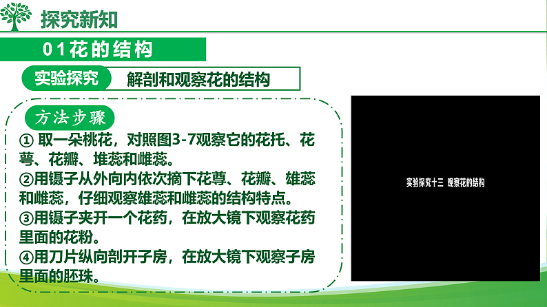 16578802第8页