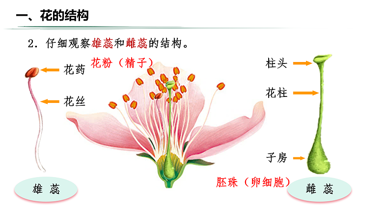 16578803第6页