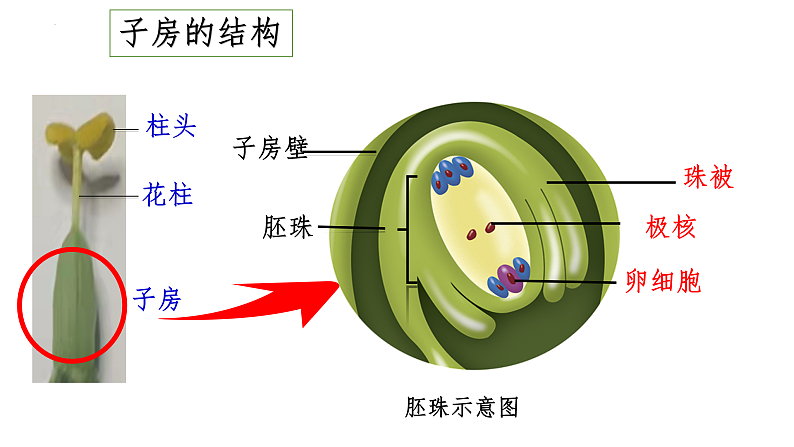 16578803第7页