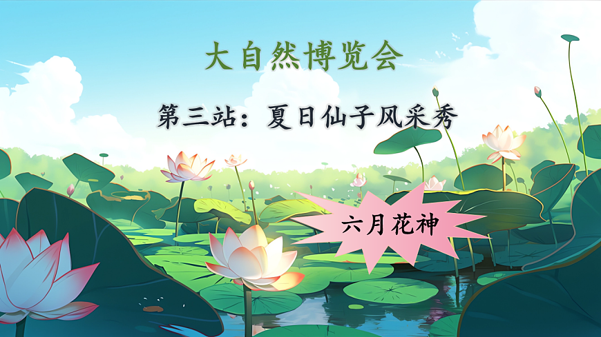 三下3荷花第1頁(yè)