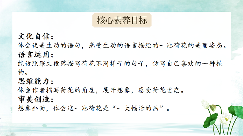 三下3荷花第2页
