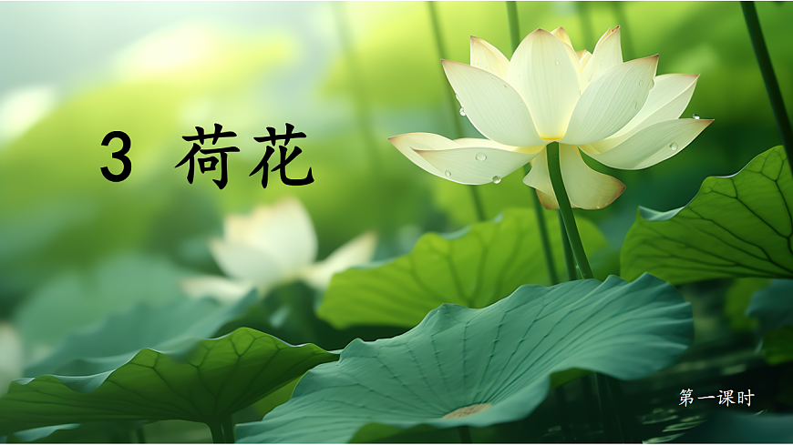 三下3荷花第3頁(yè)