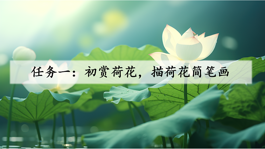 三下3荷花第4頁(yè)