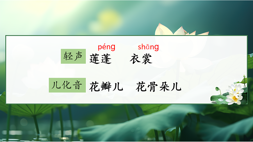 三下3荷花第5頁(yè)