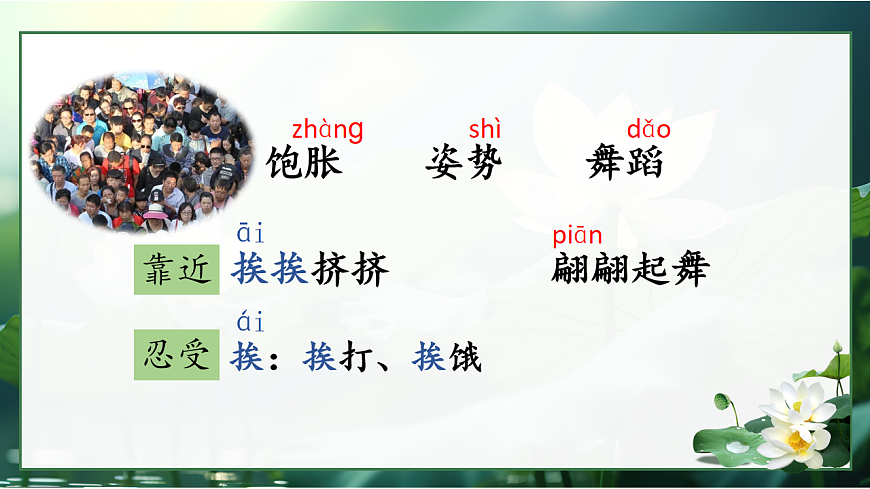 三下3荷花第6頁(yè)