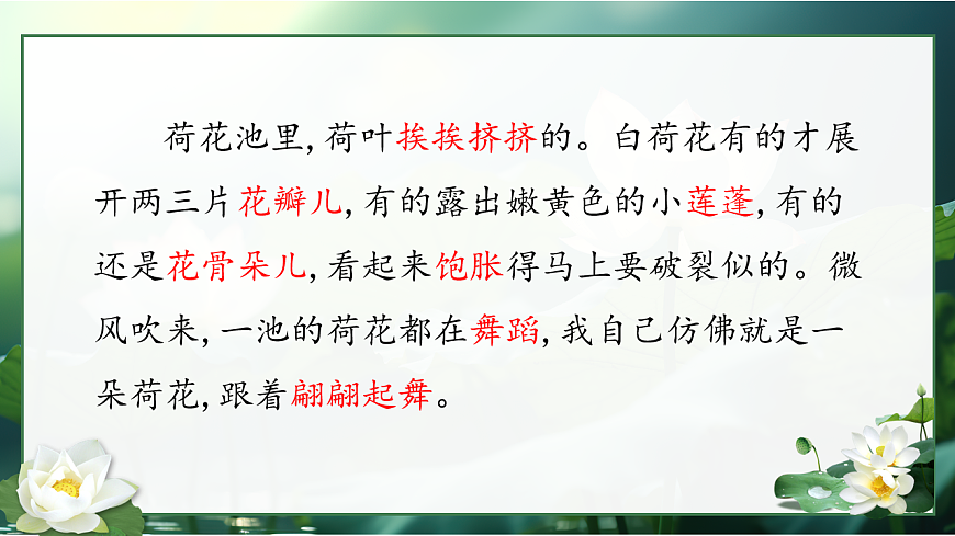 三下3荷花第8頁(yè)