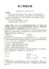 甘肃省金太阳暨陇南一诊2025届高三上学期1月期末考-物理试卷+答案