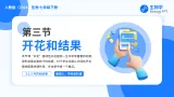 人教版（2024）生物 七年级下册 3.1.3 开花和结果 【省心备课】同步课件+教学设计+课后练习（含答案）+备课素材