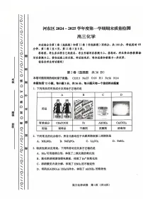 天津市河东区2024-2025学年高三上学期期末质量检测化学试题+答案