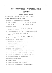 天津市五区县重点校2024-2025学年高一上学期1月期末联考化学试卷