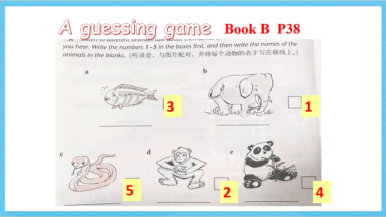 沪教牛津版(六三制)英语七下Module 2 Unit 3 《Man’s best friends Our animal friends 》More Practice课件第3页