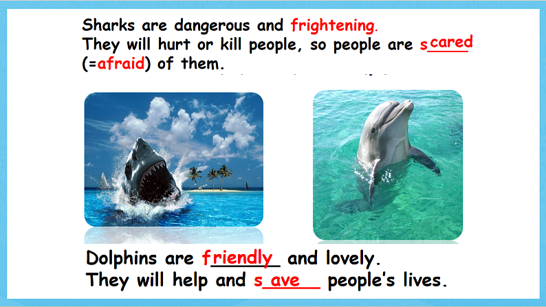 沪教牛津版(六三制)英语七下Module 2 Unit 3 《Man’s best friends Our animal friends 》More Practice课件第7页