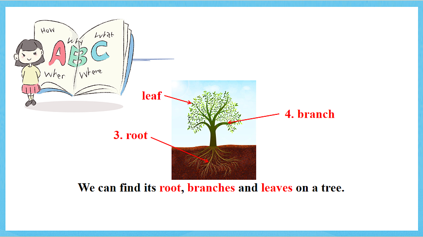滬教牛津版(六三制)英語七下Unit 4《 Save the trees vocabulary》詞匯 課件第8頁