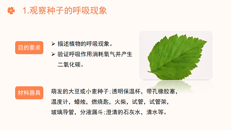 【核心素养目标】济南版初中生物七年级下册3.1.4《植物通过呼吸作用为生命活动提供能量》课件第6页