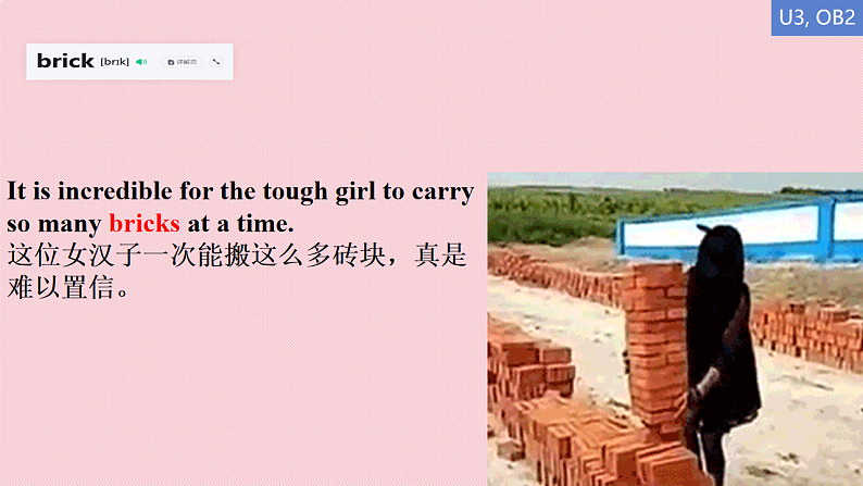 16675991第4页