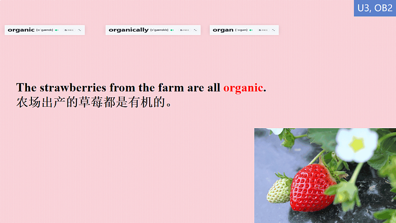 16675991第7页