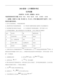 四川省眉山第一中学2024-2025学年高一上学期1月期末考试化学试卷（含答案）
