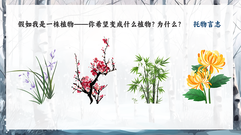 16685501第1页