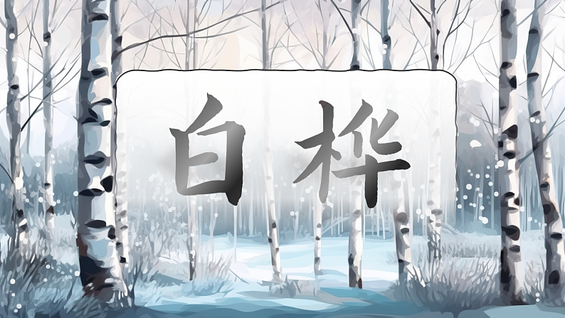 16685501第2页