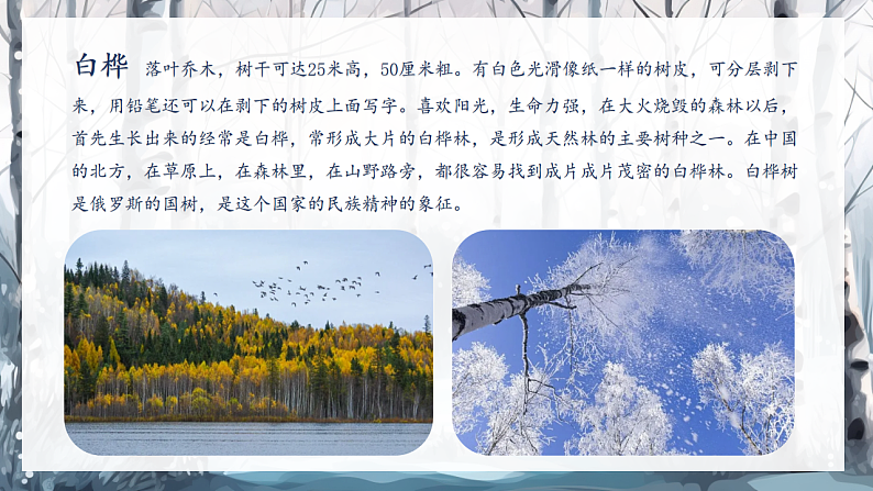 16685501第3页
