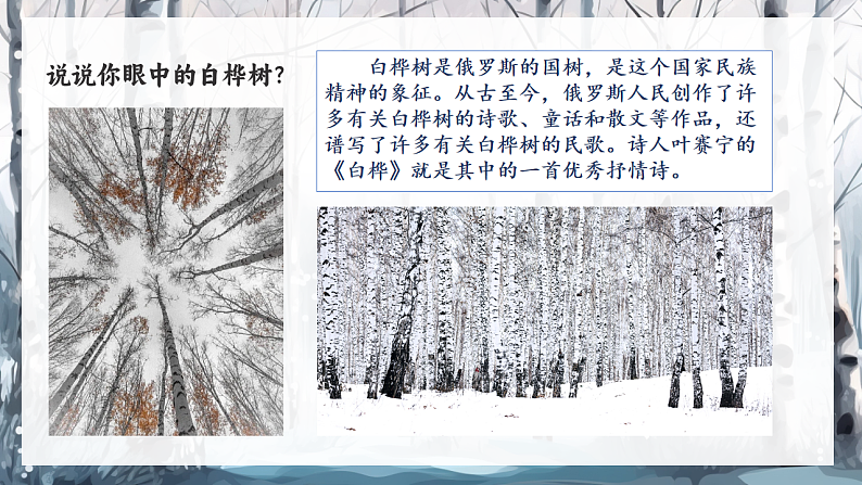 16685501第4页