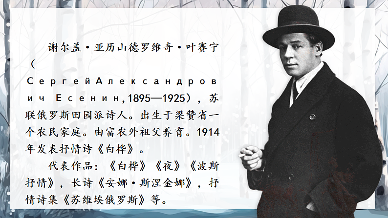 16685501第5页