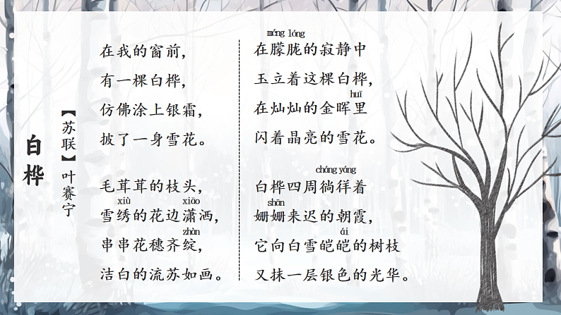 16685501第6页