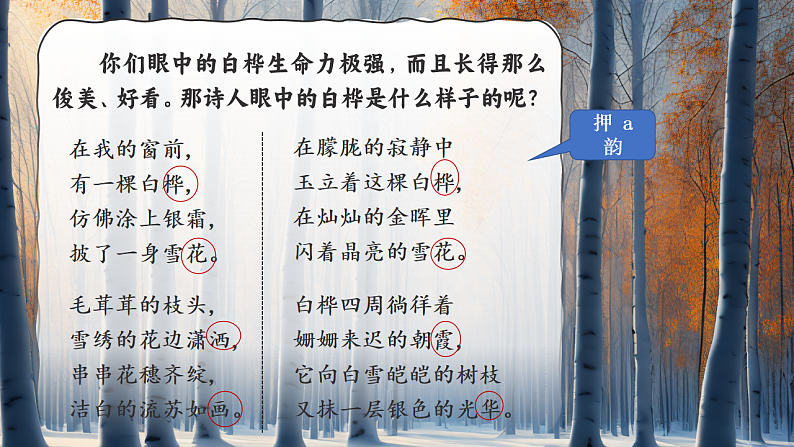 16685501第8页