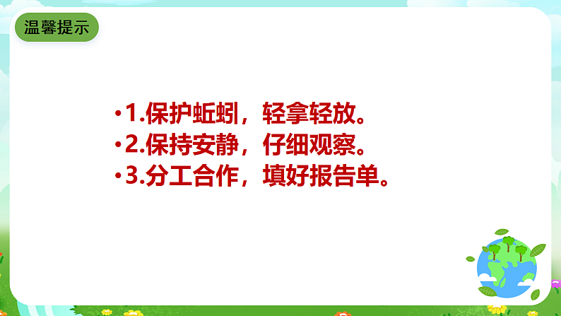 青岛版(五四制)科学四下4.15《蚯蚓找家》课件第5页