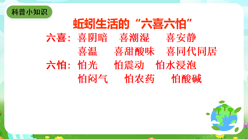 青岛版(五四制)科学四下4.15《蚯蚓找家》课件第8页