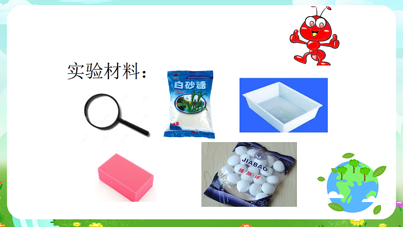 青岛版(五四制)科学四下4.18《生物与信息》课件第4页