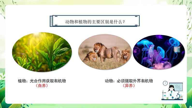 沪教版生物八下4.2.1《脊椎动物(一)鱼类》课件第2页