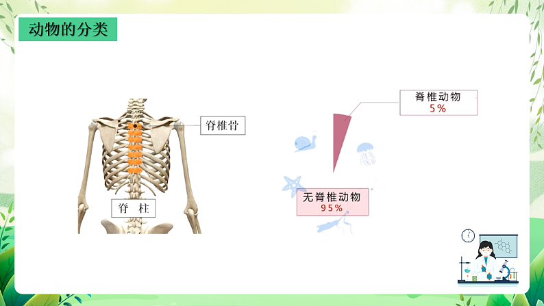 沪教版生物八下4.2.1《脊椎动物(一)鱼类》课件第3页