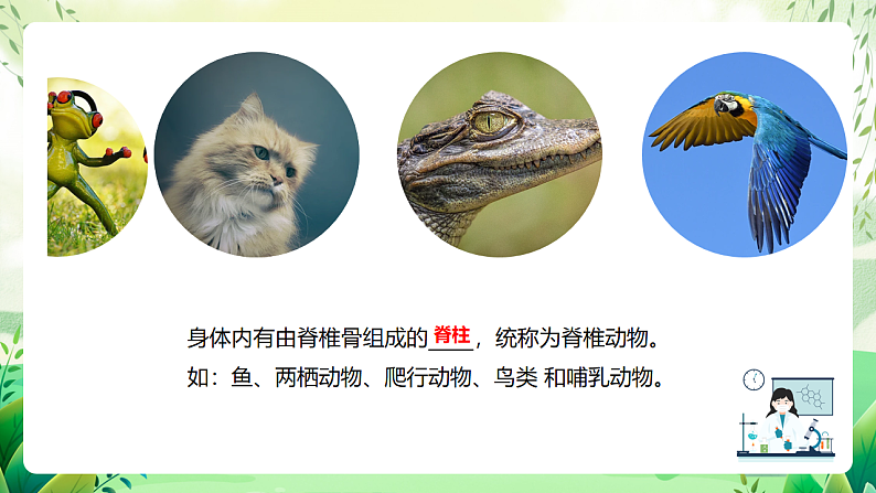 沪教版生物八下4.2.1《脊椎动物(一)鱼类》课件第4页