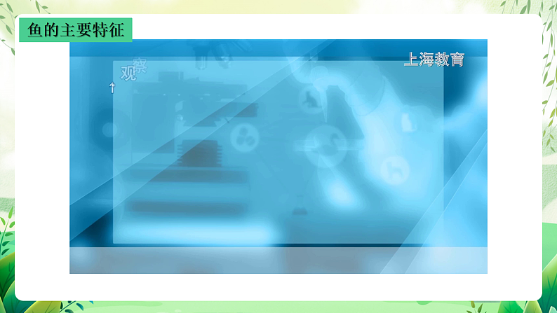 沪教版生物八下4.2.1《脊椎动物(一)鱼类》课件第8页