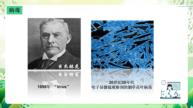 沪教版生物八下4.3.1《微生物(三)病毒》课件第5页