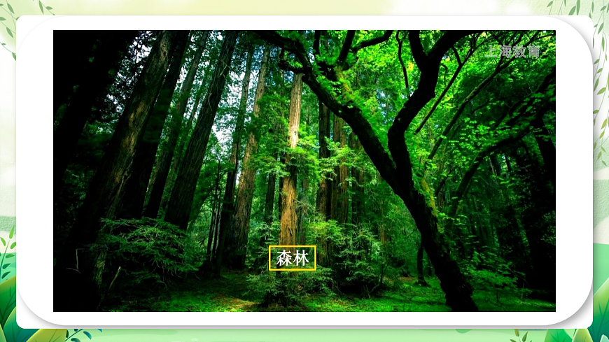 滬教版生物八下5.3《生態(tài)系統(tǒng)的穩(wěn)定性》課件第7頁