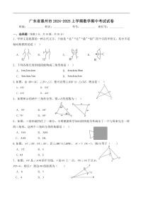广东省惠州市2024-2025八年级上学期期中考试数学试卷(含答案)