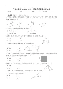 广东省惠州市2024-2025八年级上学期期中考试数学试卷(含答案)