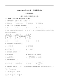 广东省茂名市电白区2024-2025学年七年级上学期期中考试数学试卷(含解析）