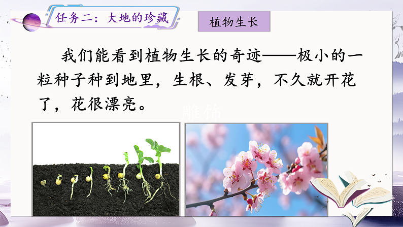 22《我们奇妙的世界》第二课时第5页