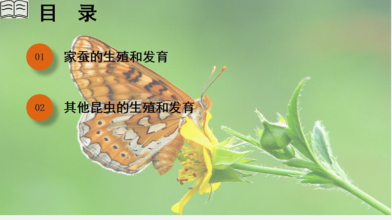 人教版初中生物八下 第一章生物的生殖和发育 1.2《昆虫的生殖和发育》课件第3页