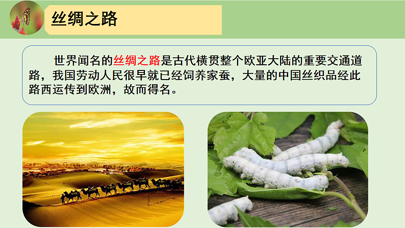 人教版初中生物八下 第一章生物的生殖和发育 1.2《昆虫的生殖和发育》课件第6页