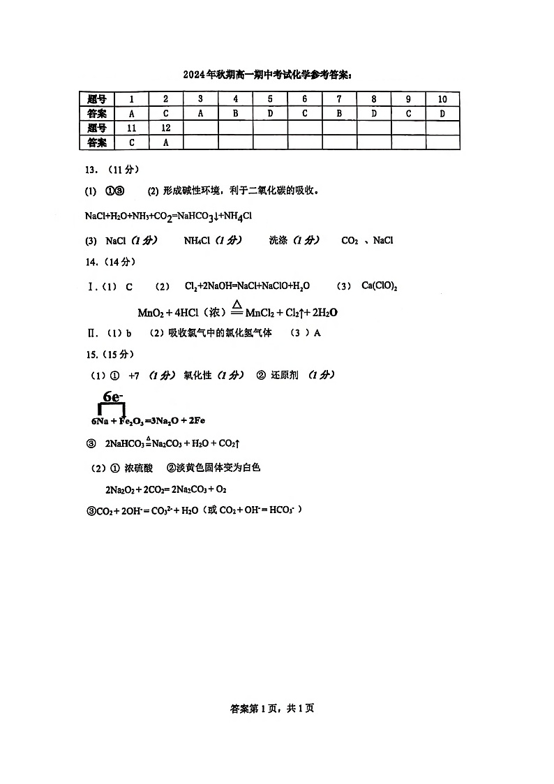 四川省泸州市合江县中学校2024-2025学年高一上学期期中考试化学试题(答案)第1页